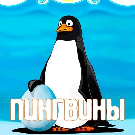 Пингвины