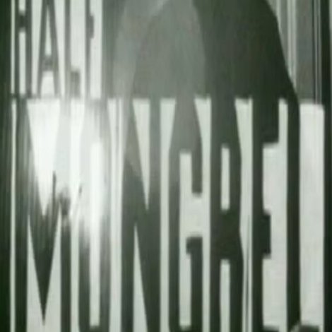 Half Mongrel