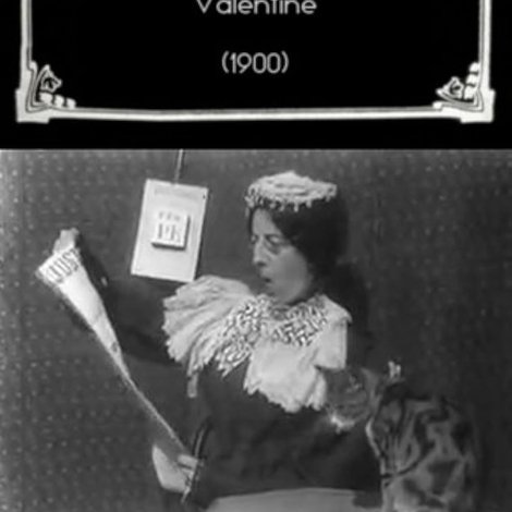 The Old Maid's Valentine