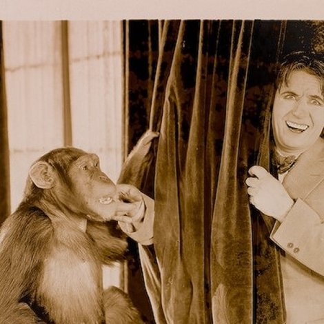The Missing Link