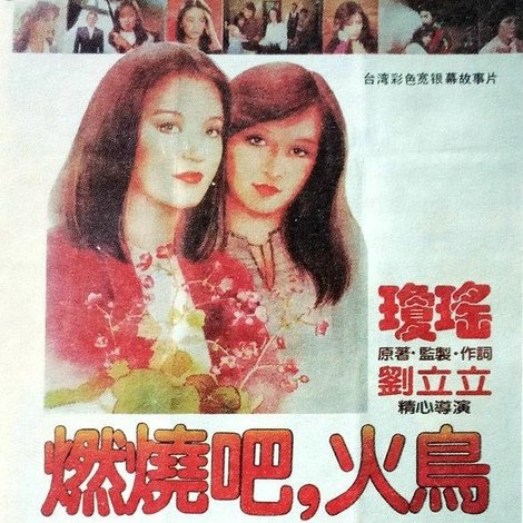 燃燒吧,火鳥
