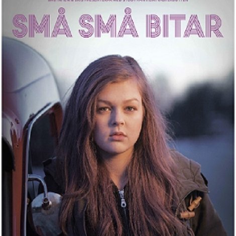 Små små bitar