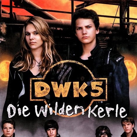 Die Wilden Kerle 5