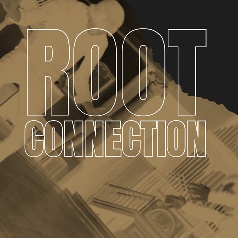 Root Connection