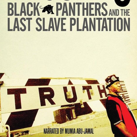 The Angola 3: Black Panthers and the Last Slave Plantation