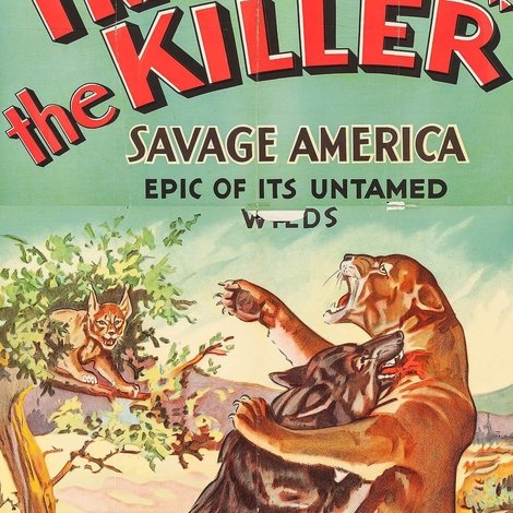Trailing the Killer