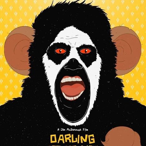Darling Pet Monkey