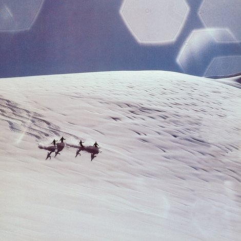 SnoWonder