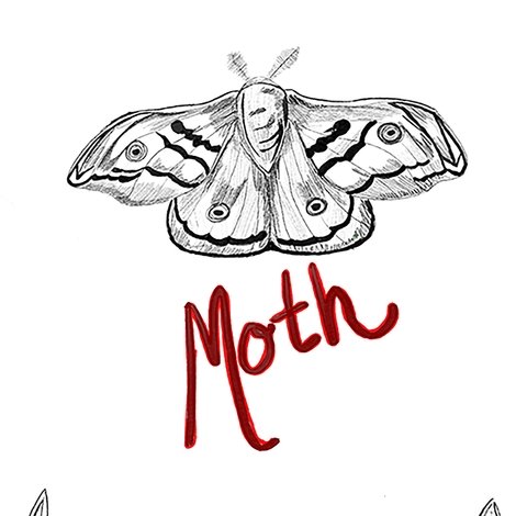 Moth