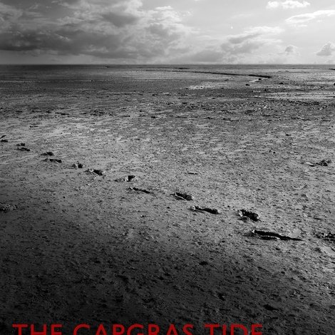 The Capgras Tide