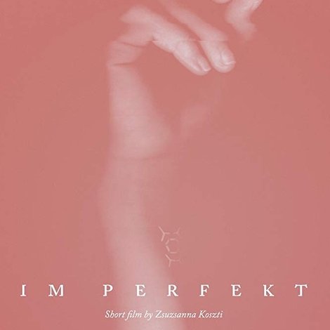 IM Perfekt