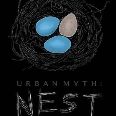 Urban Myth: Nest