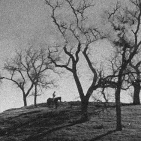 The Host