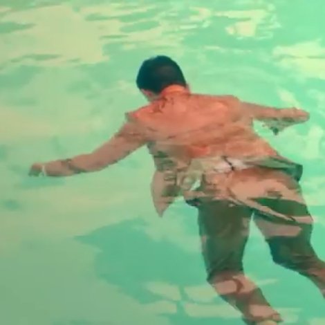 Fish in the Sea