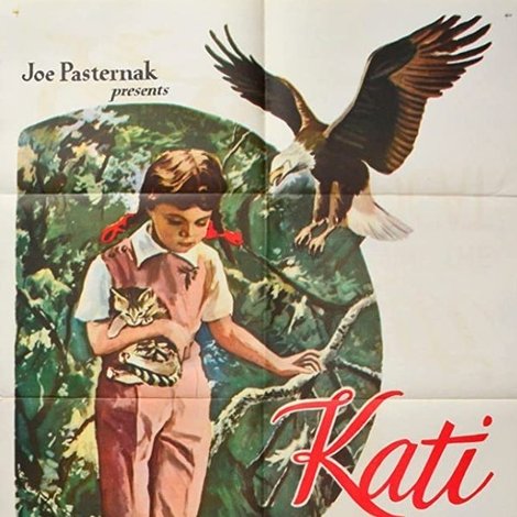 Kati és a vadmacska