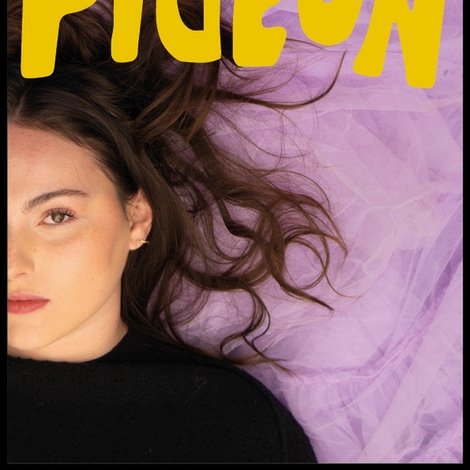 pigeon