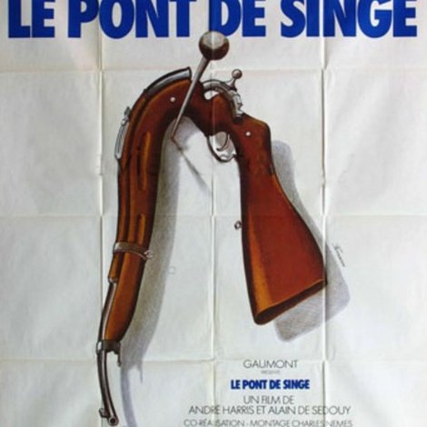 Le Pont De Singe