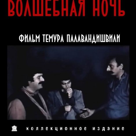 ჯადოსნური ღამე