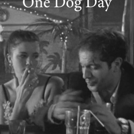 One Dog Day