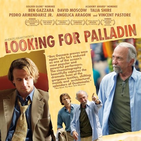 Looking for Palladin