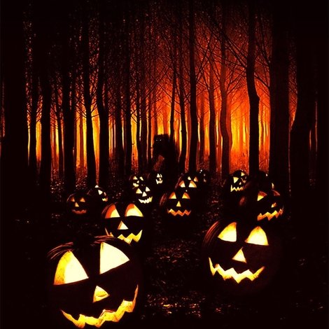 Paranormal Farm 3 Halloween