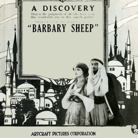 Barbary Sheep