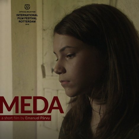 Meda