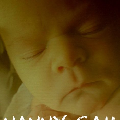Nanny Cam