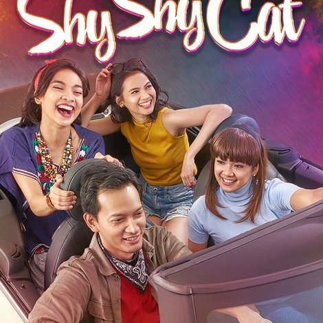Shy Shy Cat
