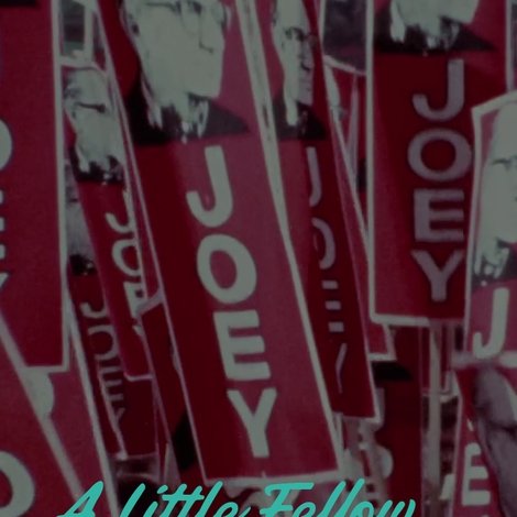 A Little Fellow from Gambo: The Joey Smallwood Story