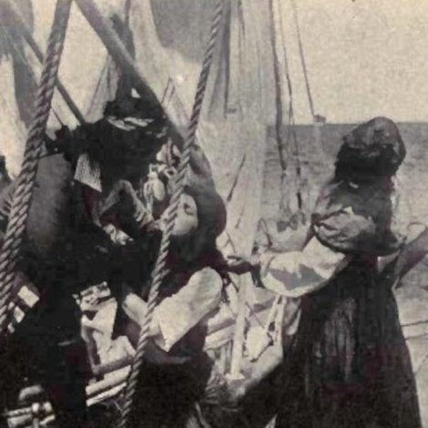 The Rose of Old St. Augustine