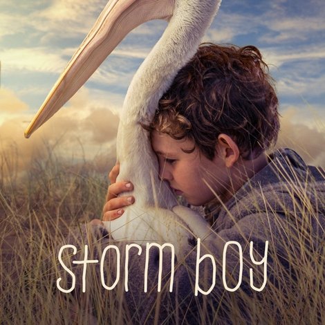 Storm Boy