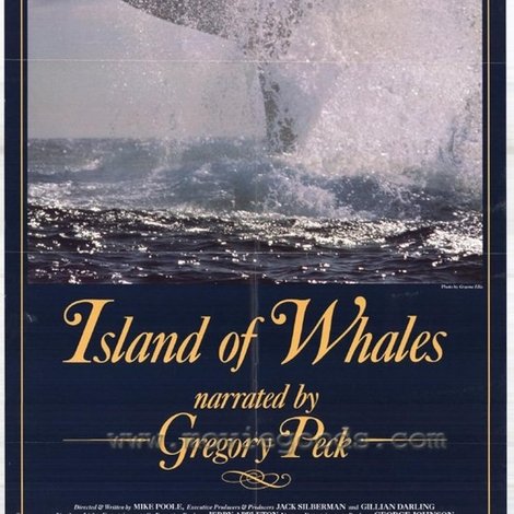 Island of Whales
