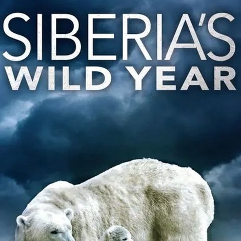 Siberia's Wild Year