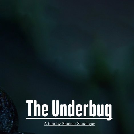 The Underbug