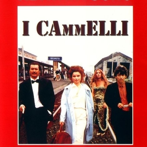 I cammelli