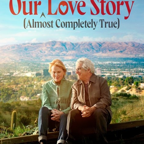 Our (Almost Completely True) Love Story