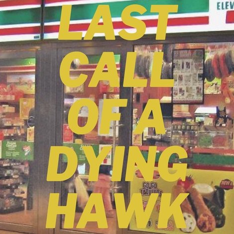 Last Call of a Dying Hawk