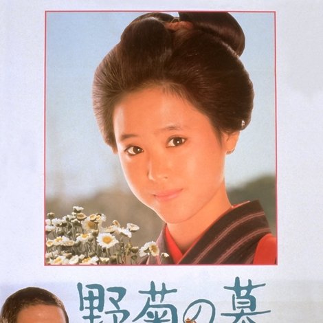 野菊の墓