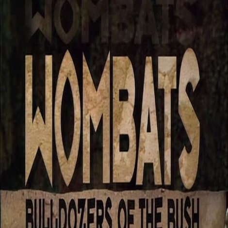Wombats: Bulldozers Of The Bush