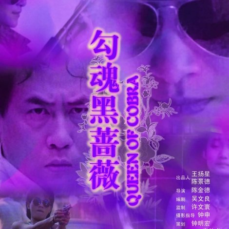 勾魂黑薔薇