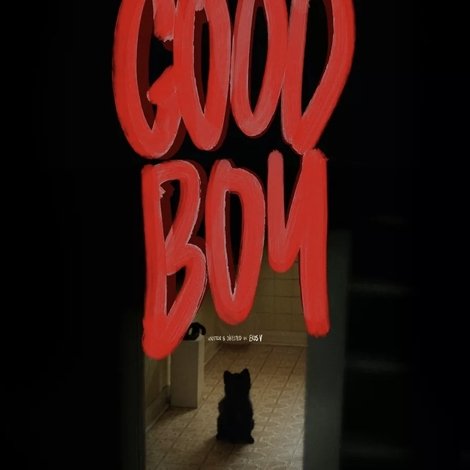 Good Boy