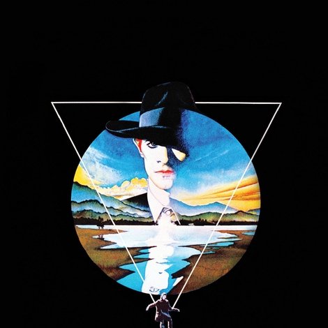 The Man Who Fell to Earth