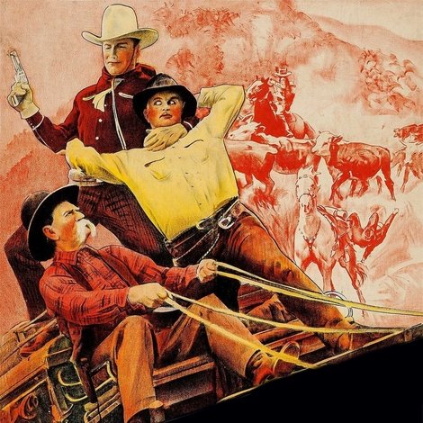Cattle Stampede