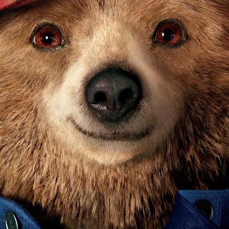 Paddington 4