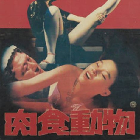 육식동물