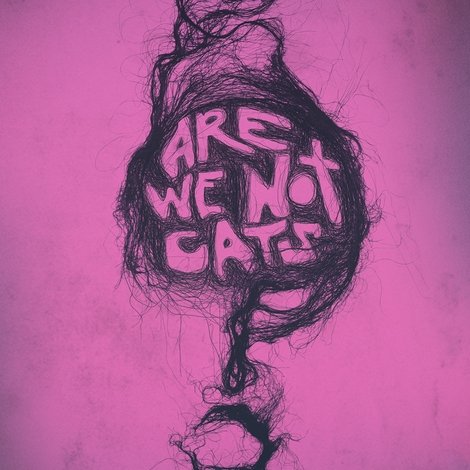 Are We Not Cats