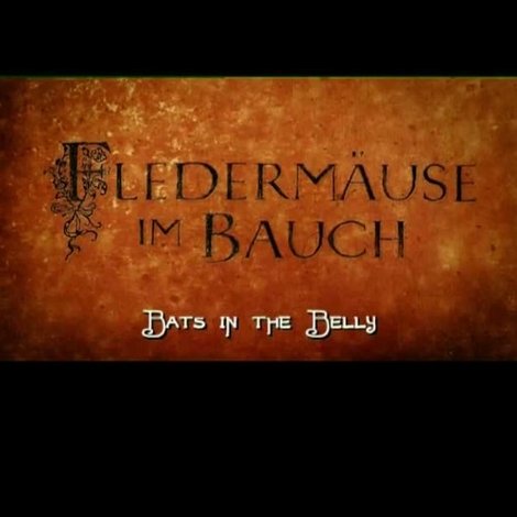 Fledermäuse im Bauch