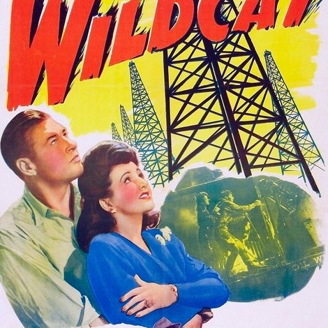 Wildcat