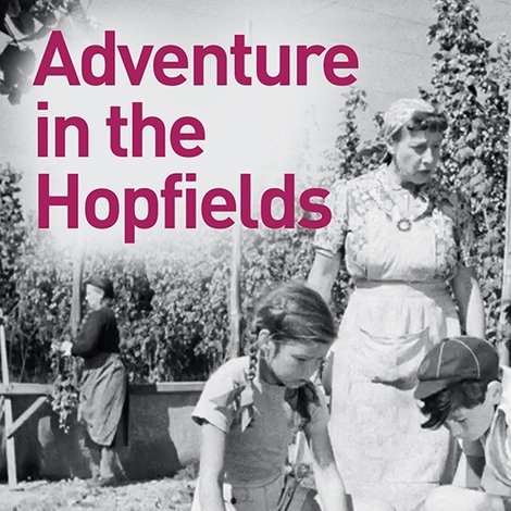 Adventure in the Hopfields